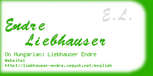 endre liebhauser business card